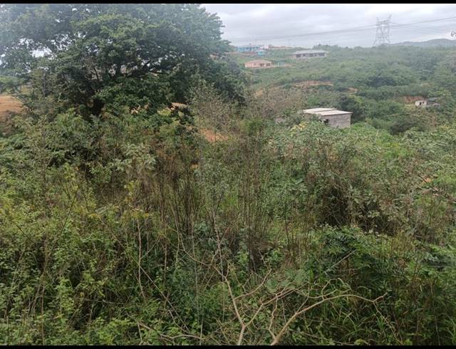 LAND FOR SALE IN LOVU